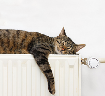 premium-heating-oil-system-efficiency